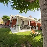 Flamboyant Tree Garden *