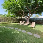 Flamboyant Tree Garden 펜션 마스팔로마스