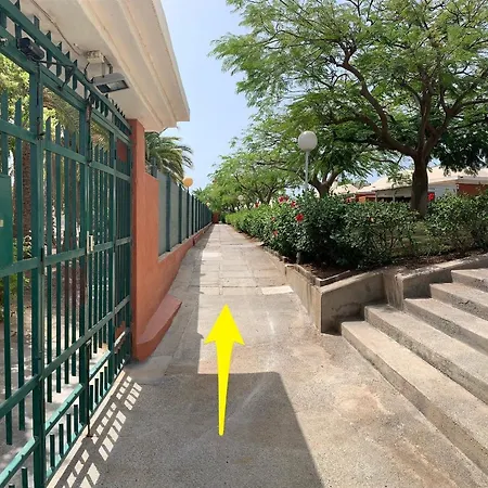 Flamboyant Tree Garden 마스팔로마스