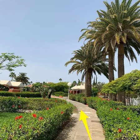 Flamboyant Tree Garden