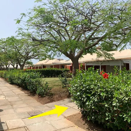 Flamboyant Tree Garden מספאלומס