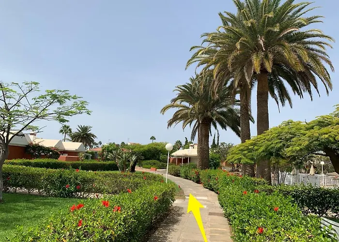 Flamboyant Tree Garden