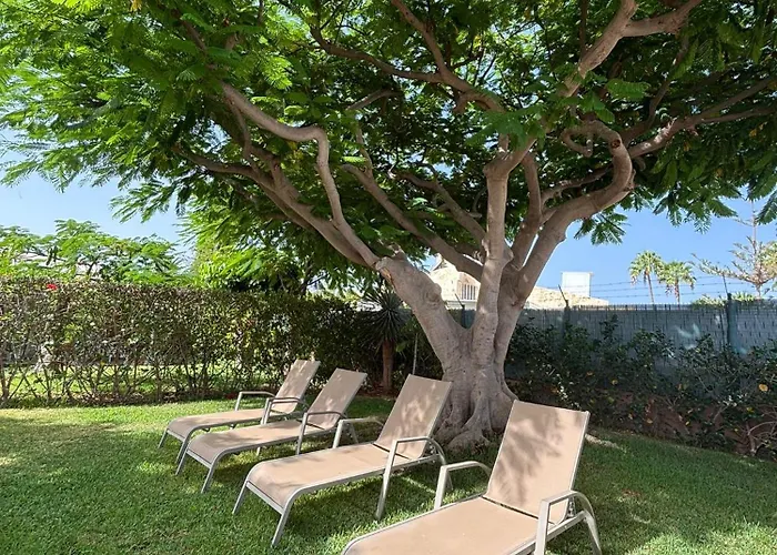 Flamboyant Tree Garden Vakantiehuis Maspalomas (Gran Canaria)